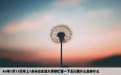 85年1月13日早上7点半出生请大师帮忙算一下五行属什么命缺什么