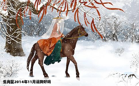 生肖鼠2014年11月运势好吗