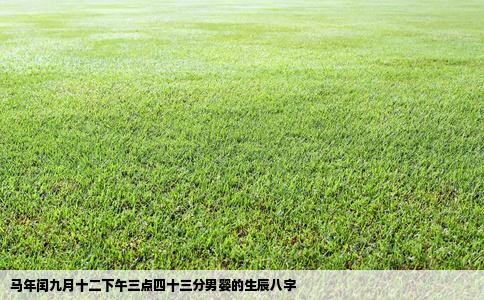 马年闰九月十二下午三点四十三分男婴的生辰八字