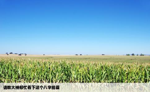 请教大神帮忙看下这个八字排盘