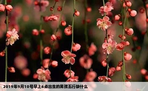 2019年9月10号早上6点出生的男孩五行缺什么