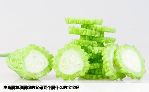 生肖属龙和属虎的父母要个属什么的宝宝好