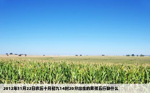 2012年11月22日农历十月初九14时20分出生的男孩五行缺什么