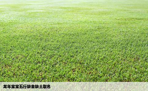 龙年宝宝五行缺金缺土取名