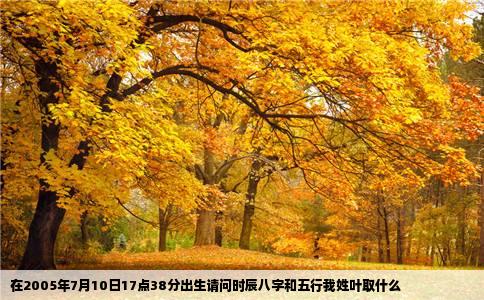 在2005年7月10日17点38分出生请问时辰八字和五行我姓叶取什么