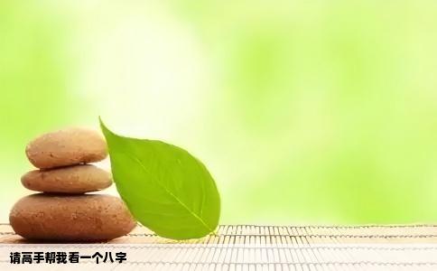 请高手帮我看一个八字