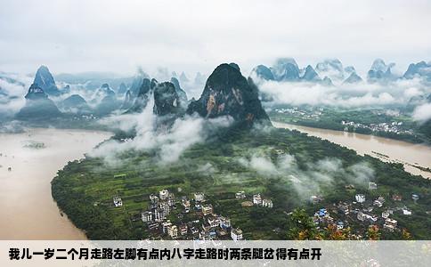 我儿一岁二个月走路左脚有点内八字走路时两条腿岔得有点开