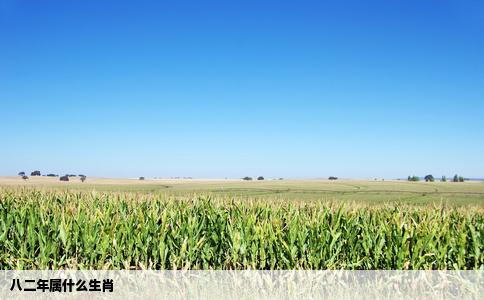 八二年属什么生肖