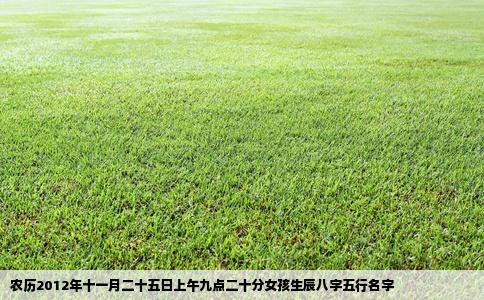 农历2012年十一月二十五日上午九点二十分女孩生辰八字五行名字