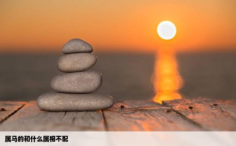 属马的和什么属相不配