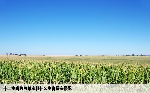 十二生肖的白羊座和什么生肖星座最配