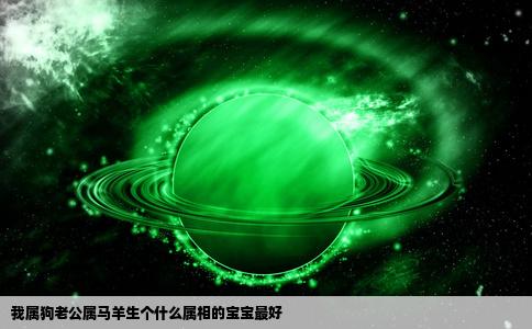 我属狗老公属马羊生个什么属相的宝宝最好