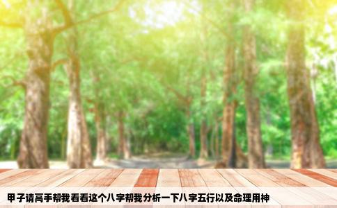 甲子请高手帮我看看这个八字帮我分析一下八字五行以及命理用神