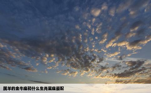 属羊的金牛座和什么生肖星座最配