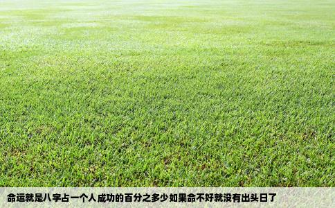 命运就是八字占一个人成功的百分之多少如果命不好就没有出头日了