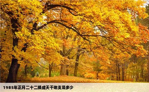 1985年正月二十二换成天干地支是多少