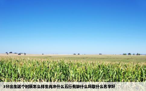 3分出生这个时辰怎么样生肖冲什么五行有缺什么吗取什么名字好
