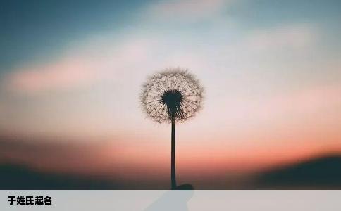 于姓氏起名