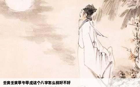 壬寅壬寅甲午甲戌这个八字怎么样好不好