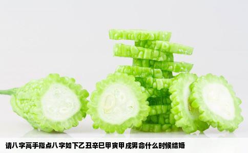 请八字高手指点八字如下乙丑辛巳甲寅甲戍男命什么时候结婚