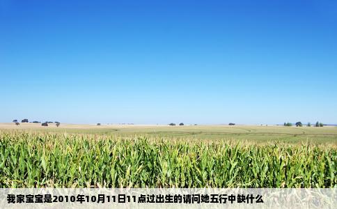 我家宝宝是2010年10月11日11点过出生的请问她五行中缺什么