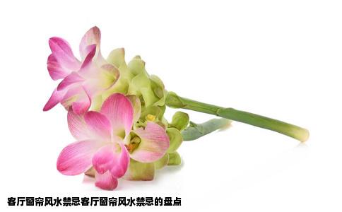 客厅窗帘风水禁忌客厅窗帘风水禁忌的盘点