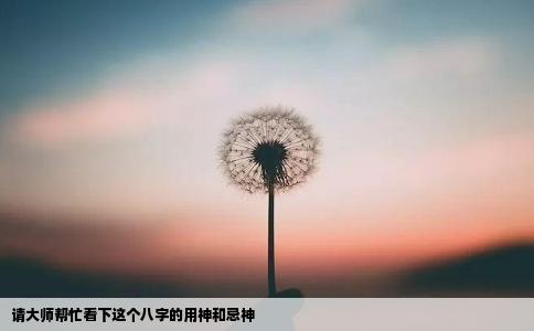 请大师帮忙看下这个八字的用神和忌神