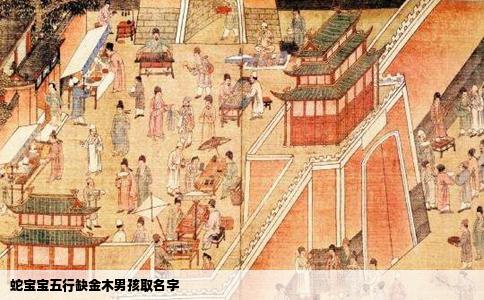 蛇宝宝五行缺金木男孩取名字