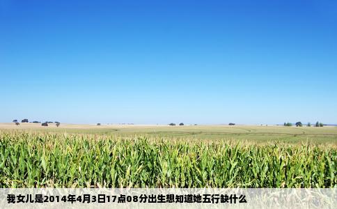 我女儿是2014年4月3日17点08分出生想知道她五行缺什么