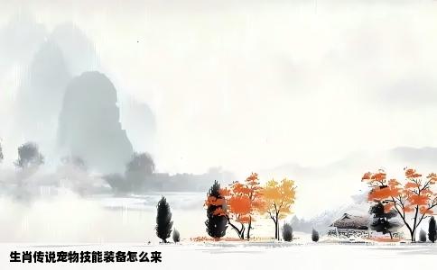 生肖传说宠物技能装备怎么来