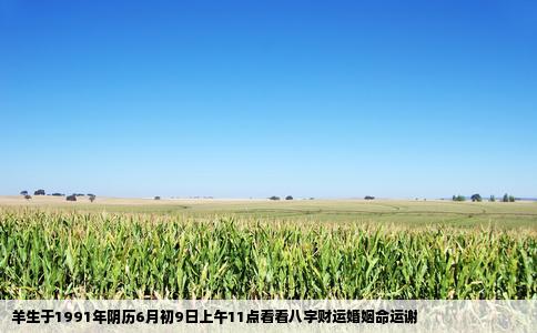 羊生于1991年阴历6月初9日上午11点看看八字财运婚姻命运谢