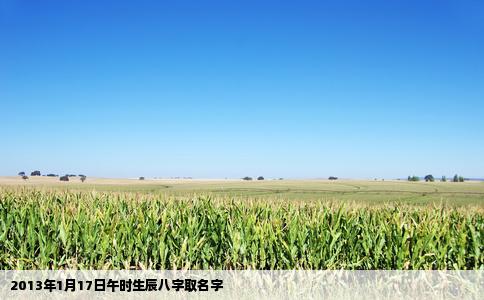 2013年1月17日午时生辰八字取名字