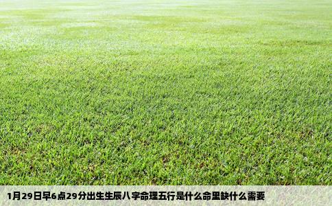 1月29日早6点29分出生生辰八字命理五行是什么命里缺什么需要