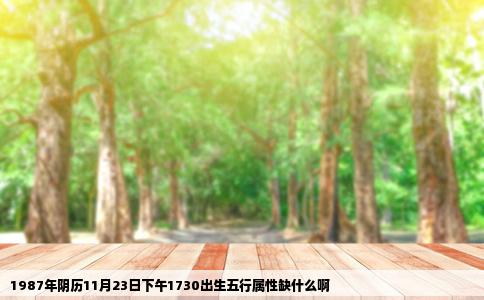 1987年阴历11月23日下午1730出生五行属性缺什么啊