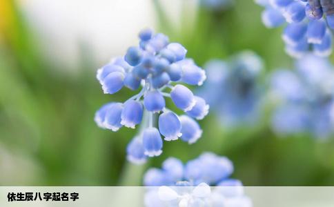 依生辰八字起名字