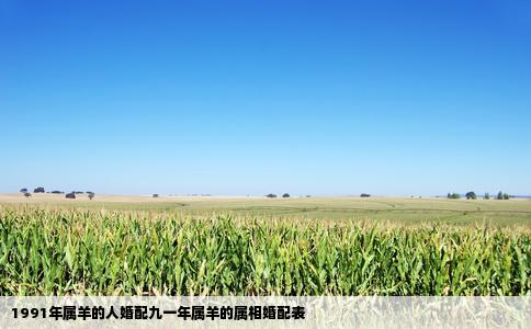 1991年属羊的人婚配九一年属羊的属相婚配表