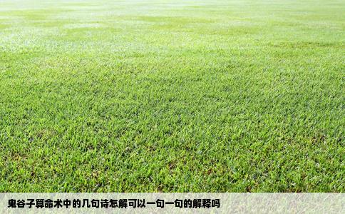鬼谷子算命术中的几句诗怎解可以一句一句的解释吗