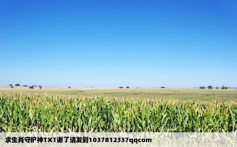 求生肖守护神TXT谢了请发到1037812337qqcom