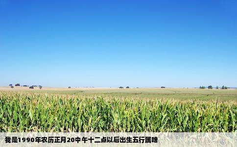 我是1990年农历正月20中午十二点以后出生五行属啥