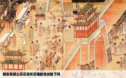 算命是算公历还是农历哦能告诉我下吗