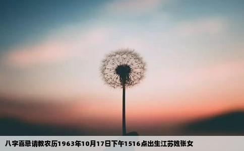 八字喜忌请教农历1963年10月17日下午1516点出生江苏姓张女