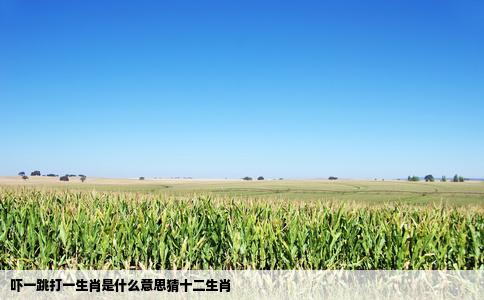 吓一跳打一生肖是什么意思猜十二生肖