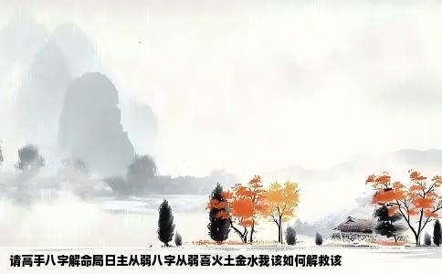 请高手八字解命局日主从弱八字从弱喜火土金水我该如何解救该