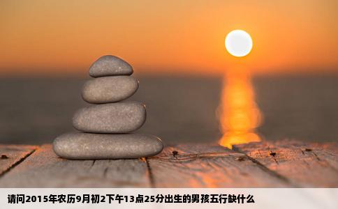 请问2015年农历9月初2下午13点25分出生的男孩五行缺什么