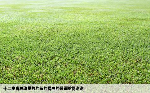 十二生肖总动员的片头片尾曲的歌词给我谢谢