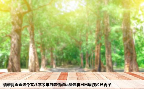 请帮我看看这个女八字今年的感情和运势怎样己巳甲戌乙巳丙子