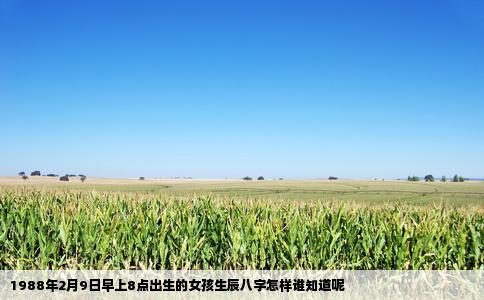 1988年2月9日早上8点出生的女孩生辰八字怎样谁知道呢