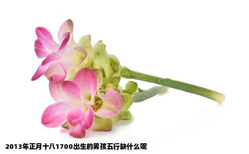 2013年正月十八1700出生的男孩五行缺什么呢