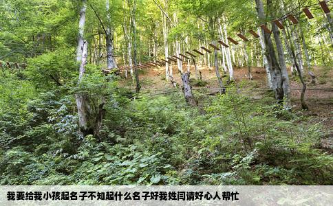 我要给我小孩起名子不知起什么名子好我姓闫请好心人帮忙