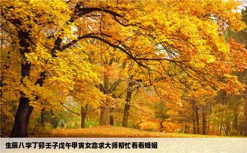 生辰八字丁卯壬子戊午甲寅女命求大师帮忙看看婚姻